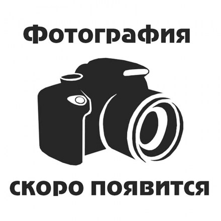 foto2